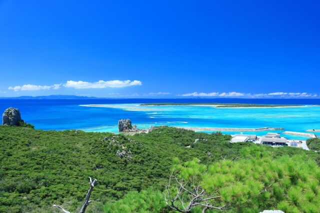 海や森の役にたつとは