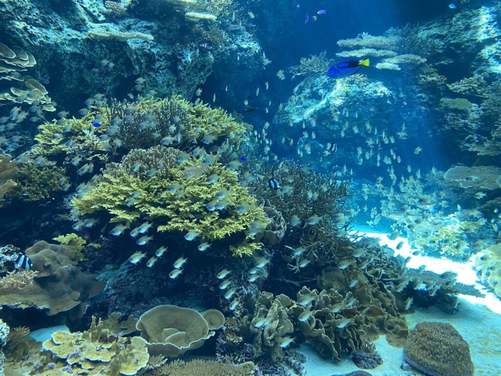 海が生まれ変わる